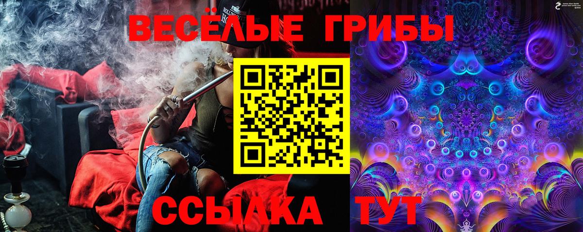 Псилоцибиновые грибы мухоморы Назрань